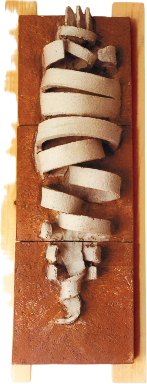 Fósil, relieve de barro rojo