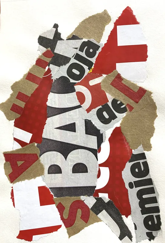 Collage 9